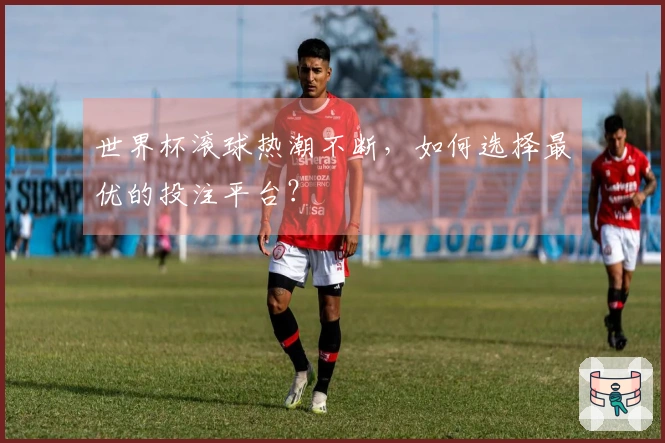 世界杯滚球热潮不断，如何选择最优的投注平台？