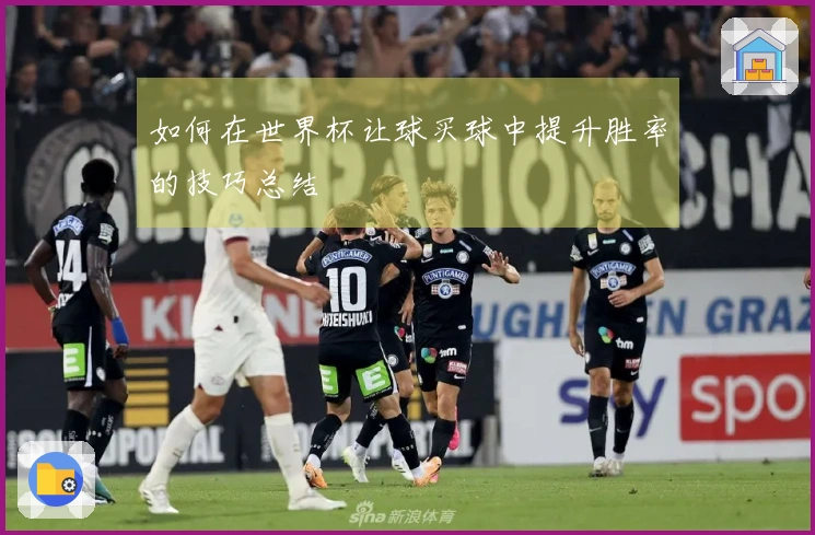 如何在世界杯让球买球中提升胜率的技巧总结