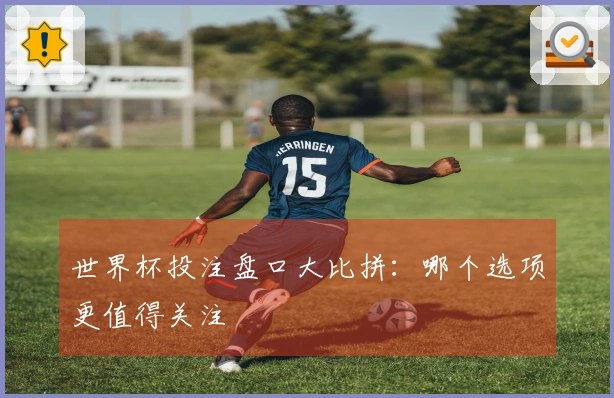 世界杯投注盘口大比拼：哪个选项更值得关注