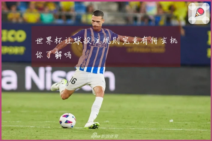 世界杯让球投注规则究竟有何玄机你了解吗