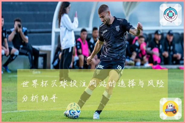 世界杯买球投注网站的选择与风险分析助手