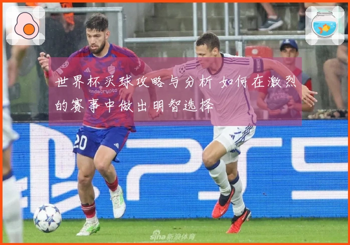 世界杯买球攻略与分析 如何在激烈的赛事中做出明智选择