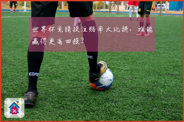 世界杯竞猜投注赔率大比拼，谁能赢得更高回报？