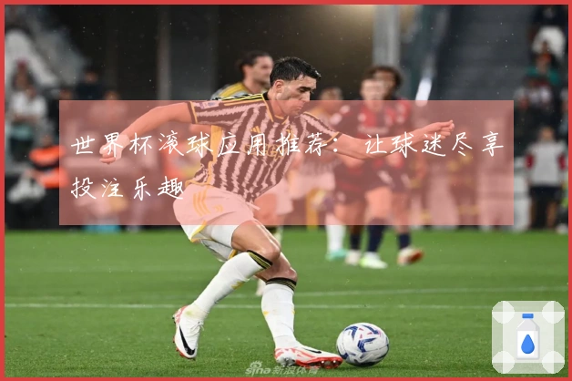 世界杯滚球应用推荐：让球迷尽享投注乐趣