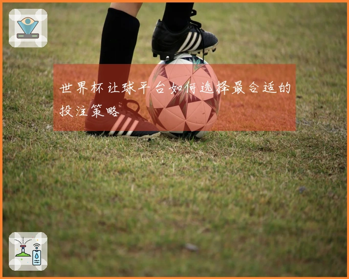 世界杯让球平台如何选择最合适的投注策略