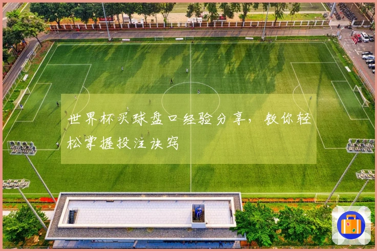 世界杯买球盘口经验分享，教你轻松掌握投注诀窍