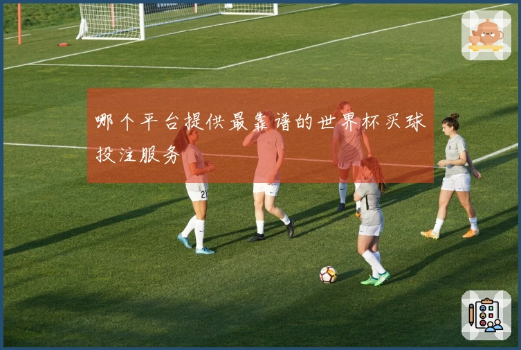 哪个平台提供最靠谱的世界杯买球投注服务