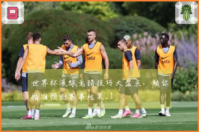 世界杯滚球竞猜技巧大盘点，助你精准预测赛事结果_1