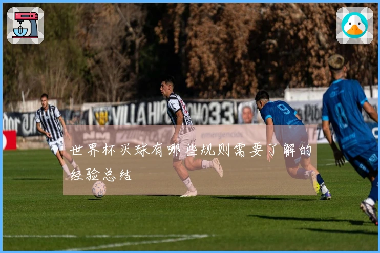 世界杯买球有哪些规则需要了解的经验总结