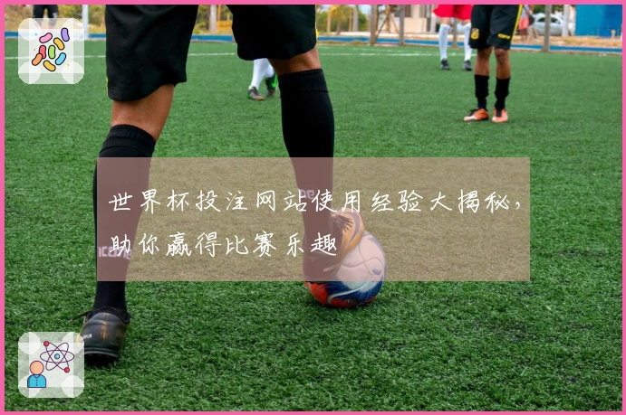 世界杯投注网站使用经验大揭秘，助你赢得比赛乐趣
