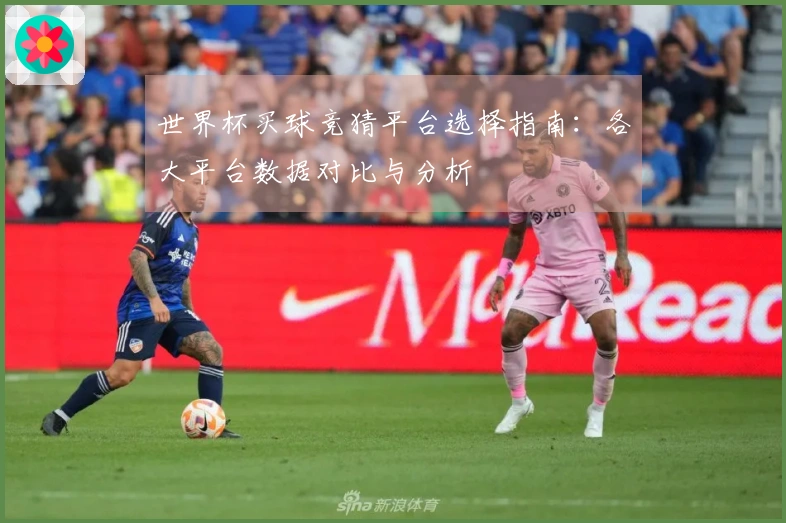 世界杯买球竞猜平台选择指南：各大平台数据对比与分析